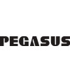 PEGASUS